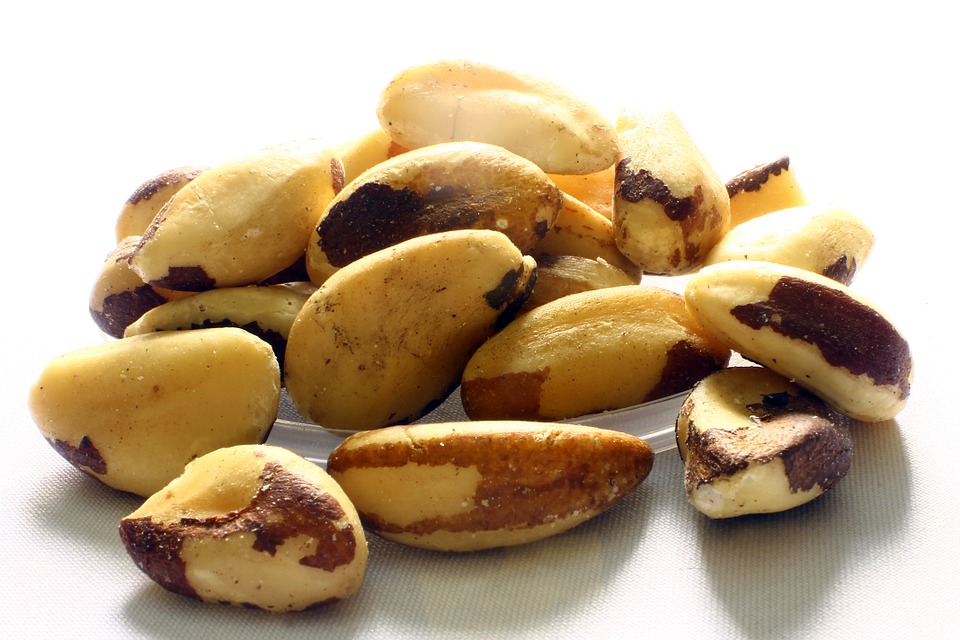 brazil nuts superfoods - toronto personal trainer