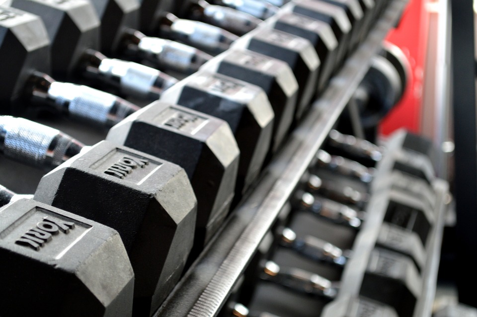 free weights for muscle building primal breed fit