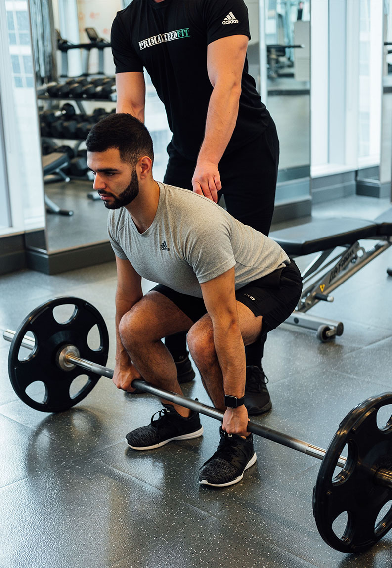 Personal Trainer Toronto | Primal Breed Fit Personal Training